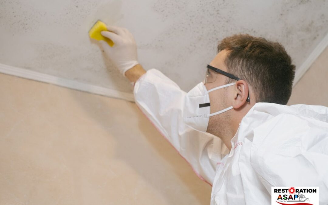 Why is #Mold and #Mildew #Remediation by Restoration ASAP in Warwick, RI Is Crucial?