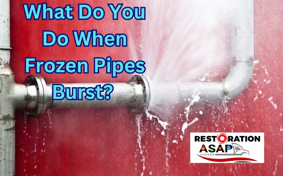 What Do You Do When #FrozenPipesBurst