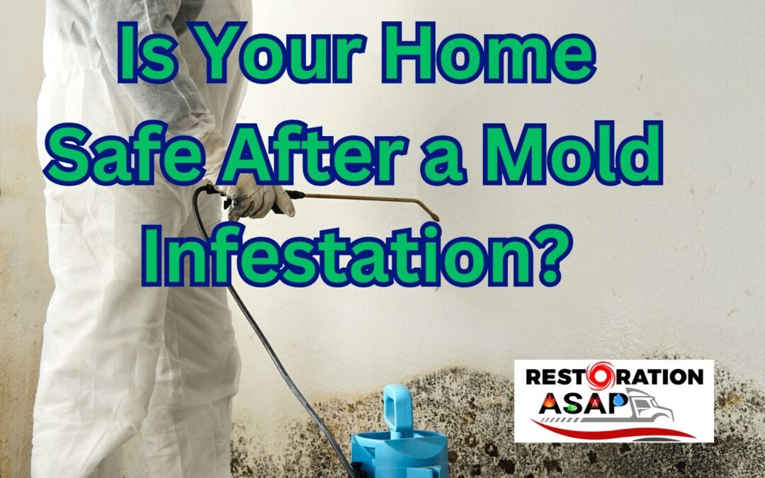 Is #YourHomeSafe After a #MoldInfestation